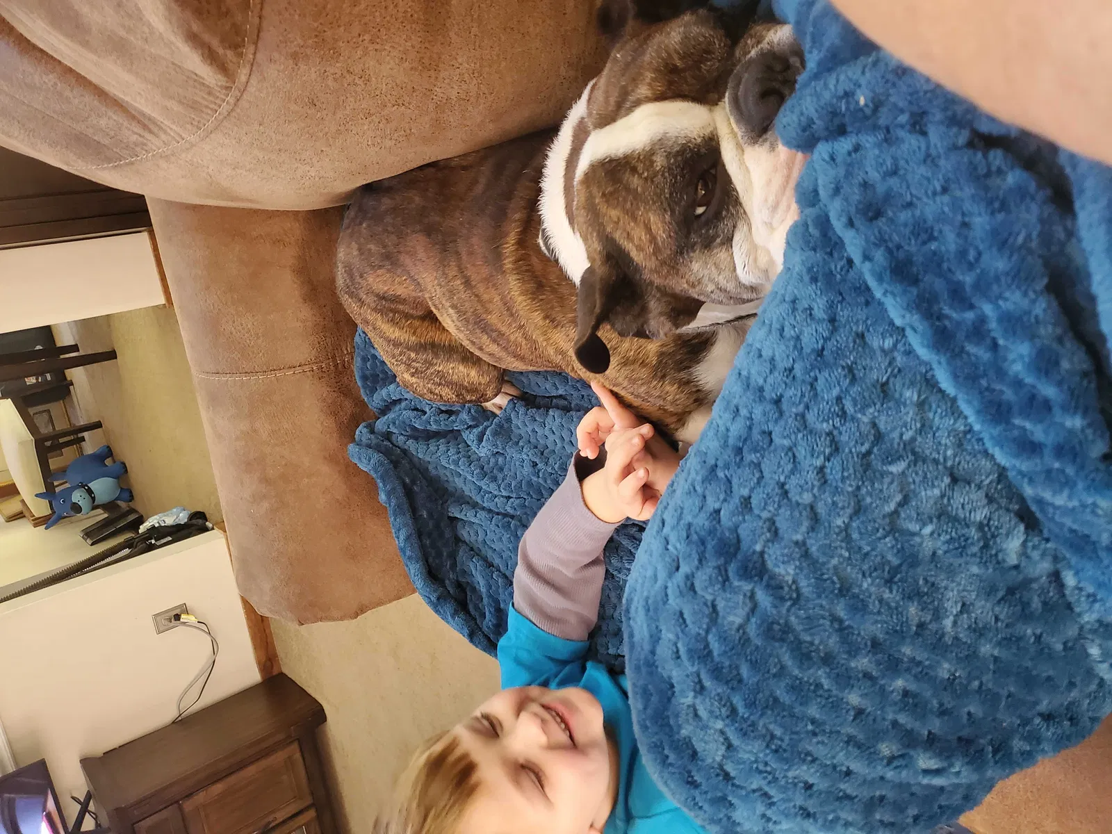 Lost dog in Kennesaw, GA, 30144