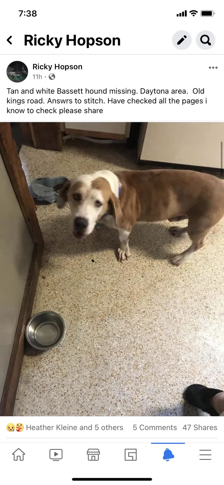 Lost dog in Daytona Beach, FL, 32117