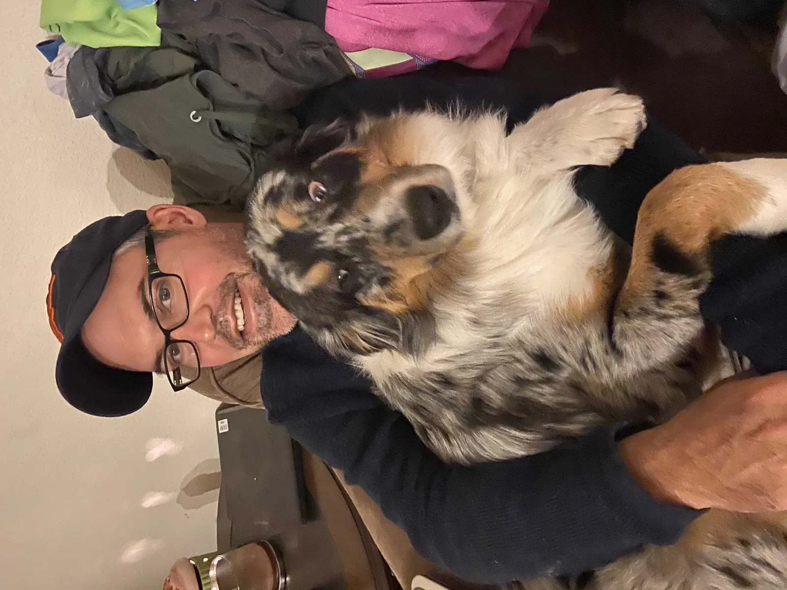Lost dog in Temple, TX, 76502
