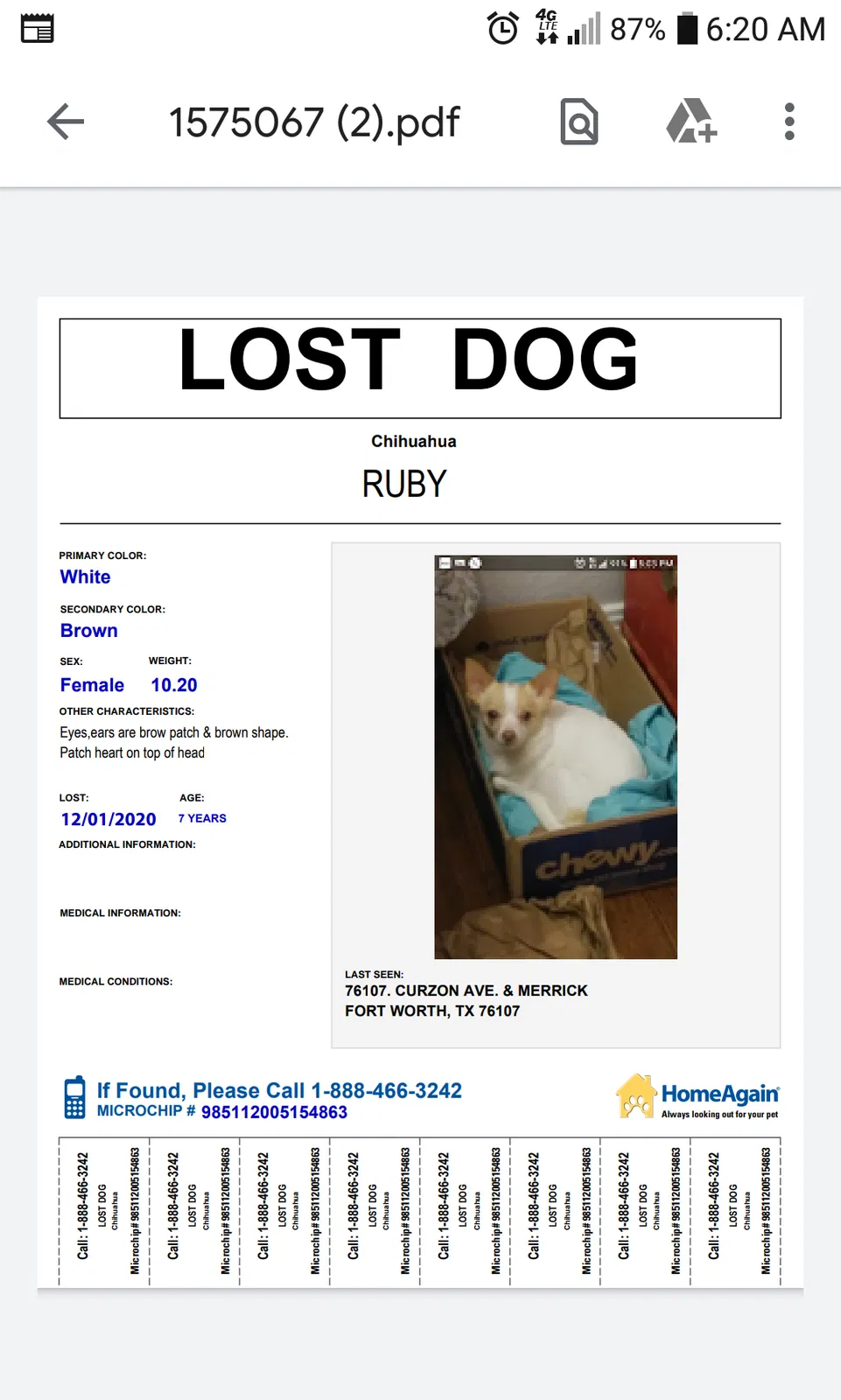 Lost dog in Fort Worth, TX, 76107
