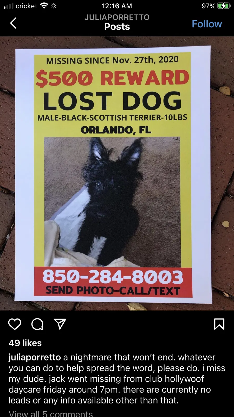 Lost dog in Orlando, FL, 32803
