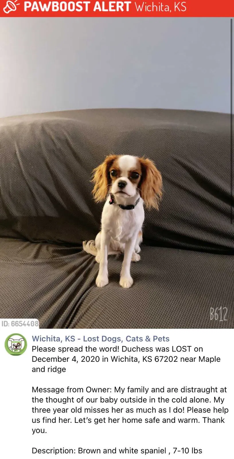 Lost dog in Wichita, KS, 67212
