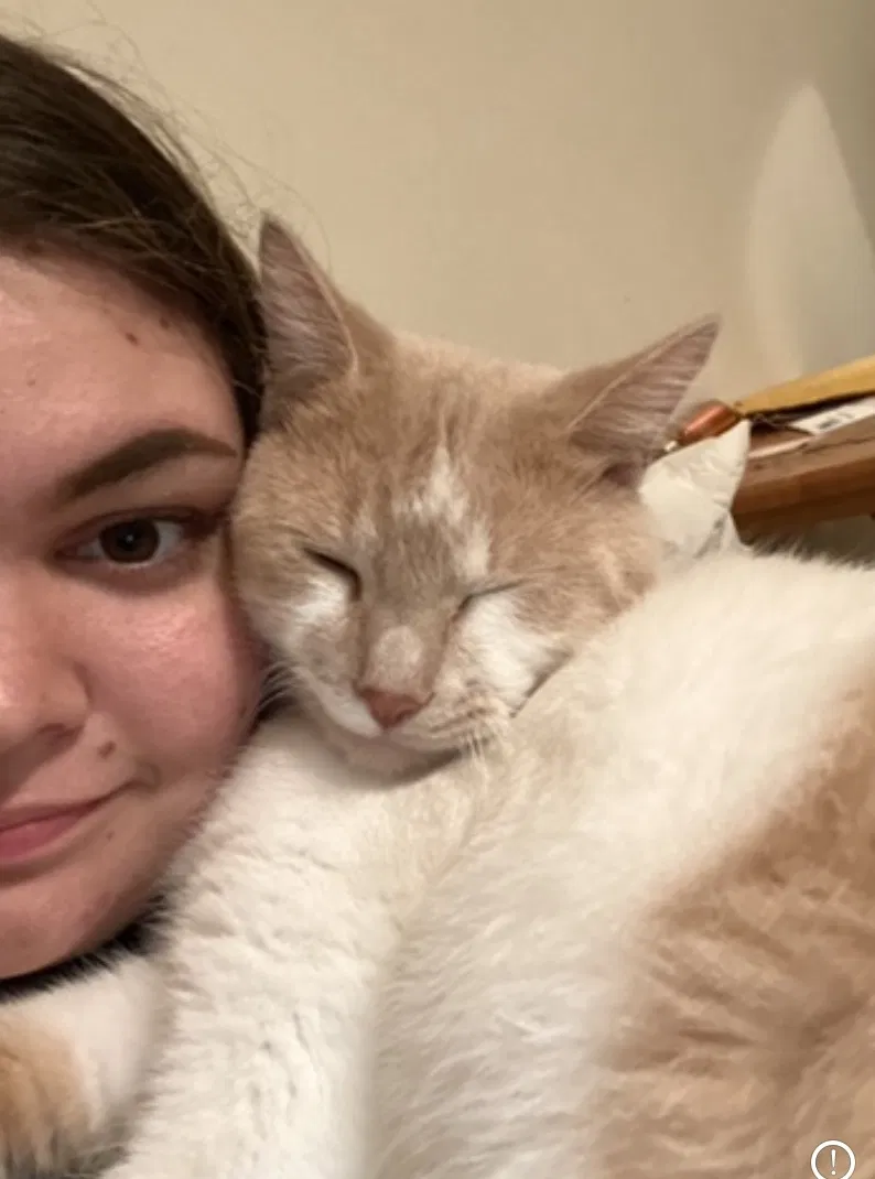 Lost cat in Orange Park, FL, 32073