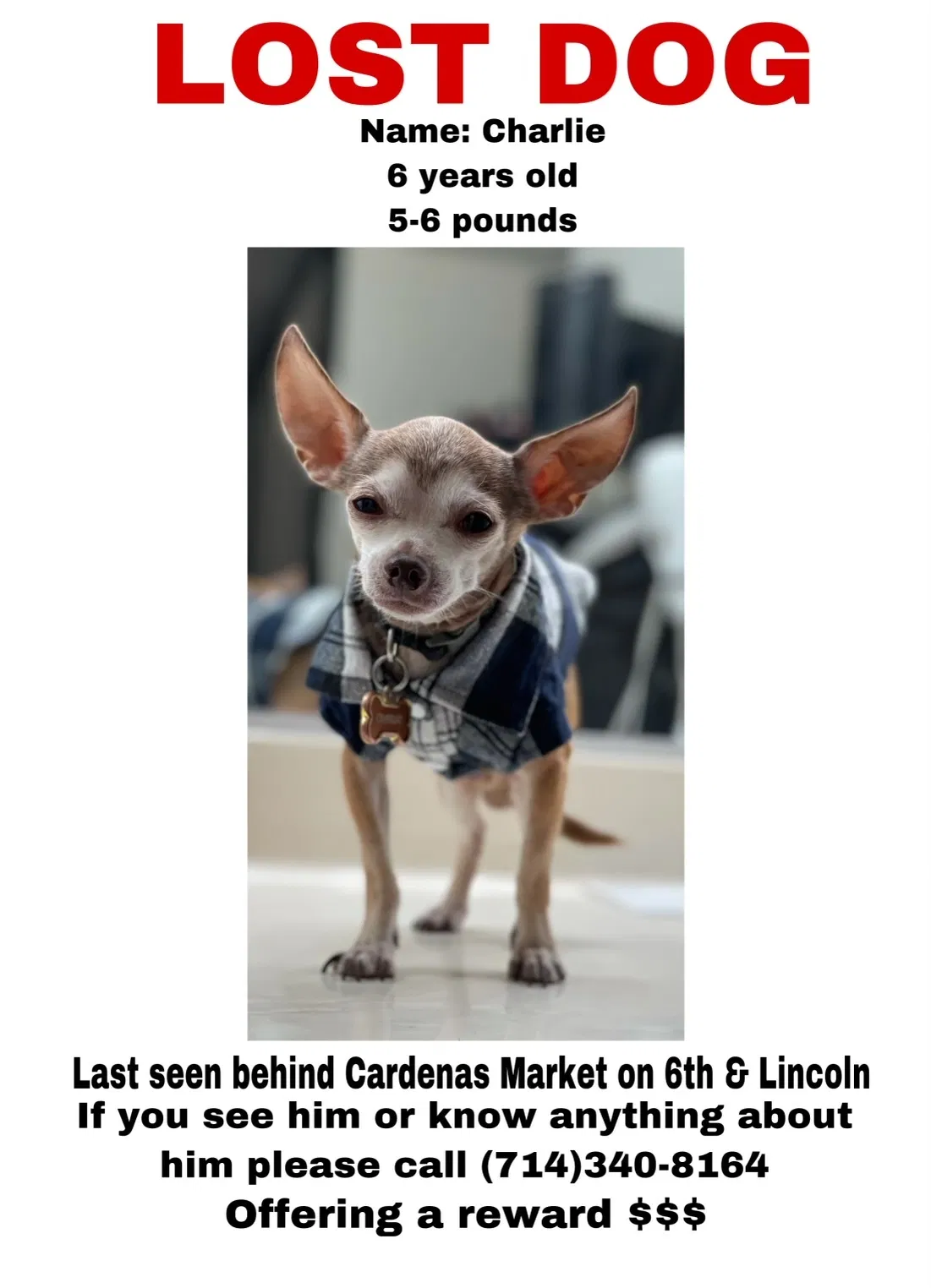 Lost dog in Corona, CA, 92878