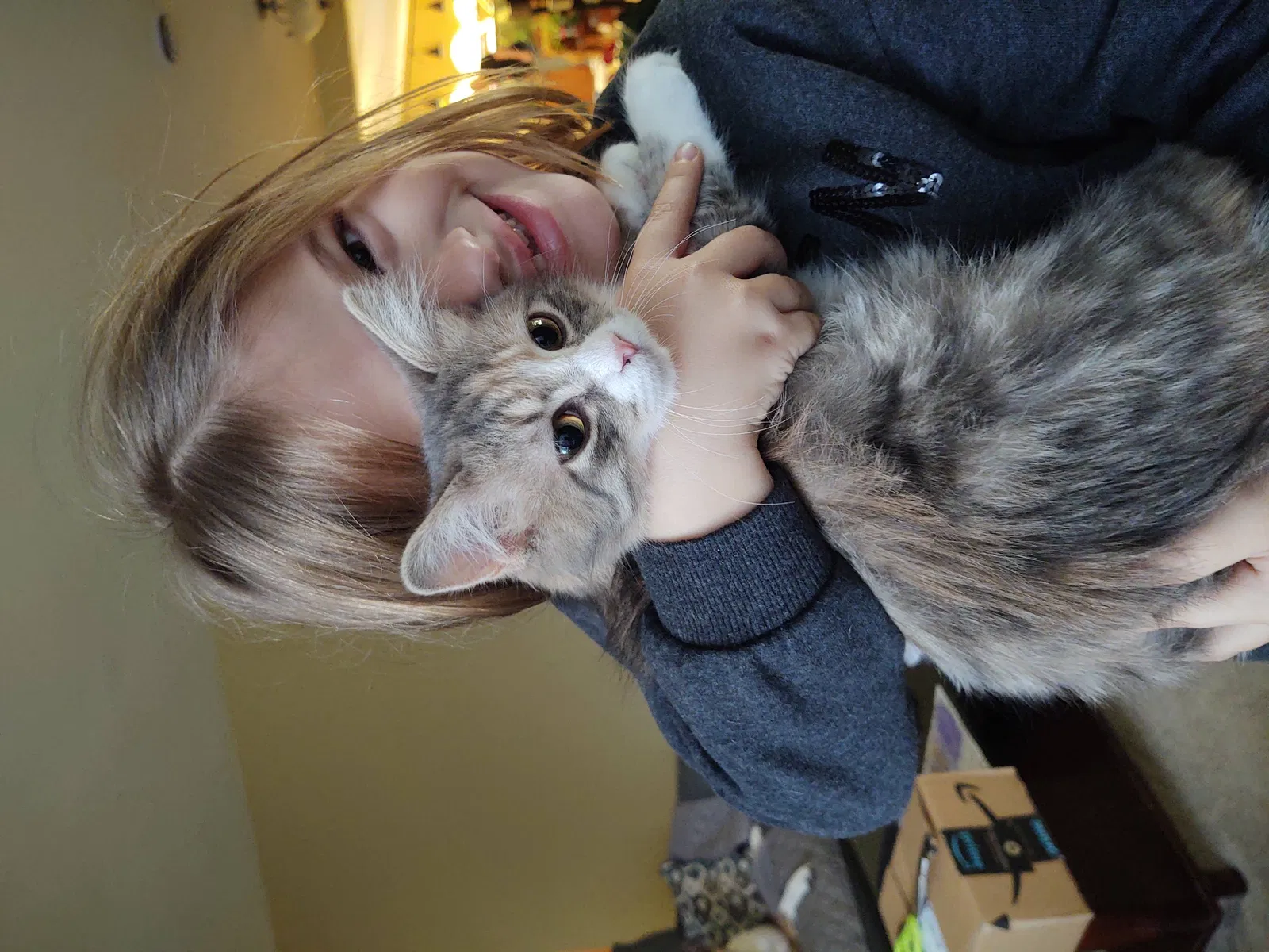 Lost cat in Fort Wayne, IN, 46835