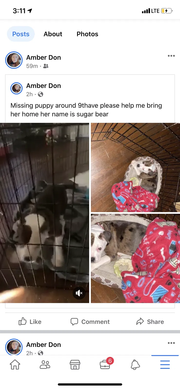 Lost dog in Huntington, WV, 25701