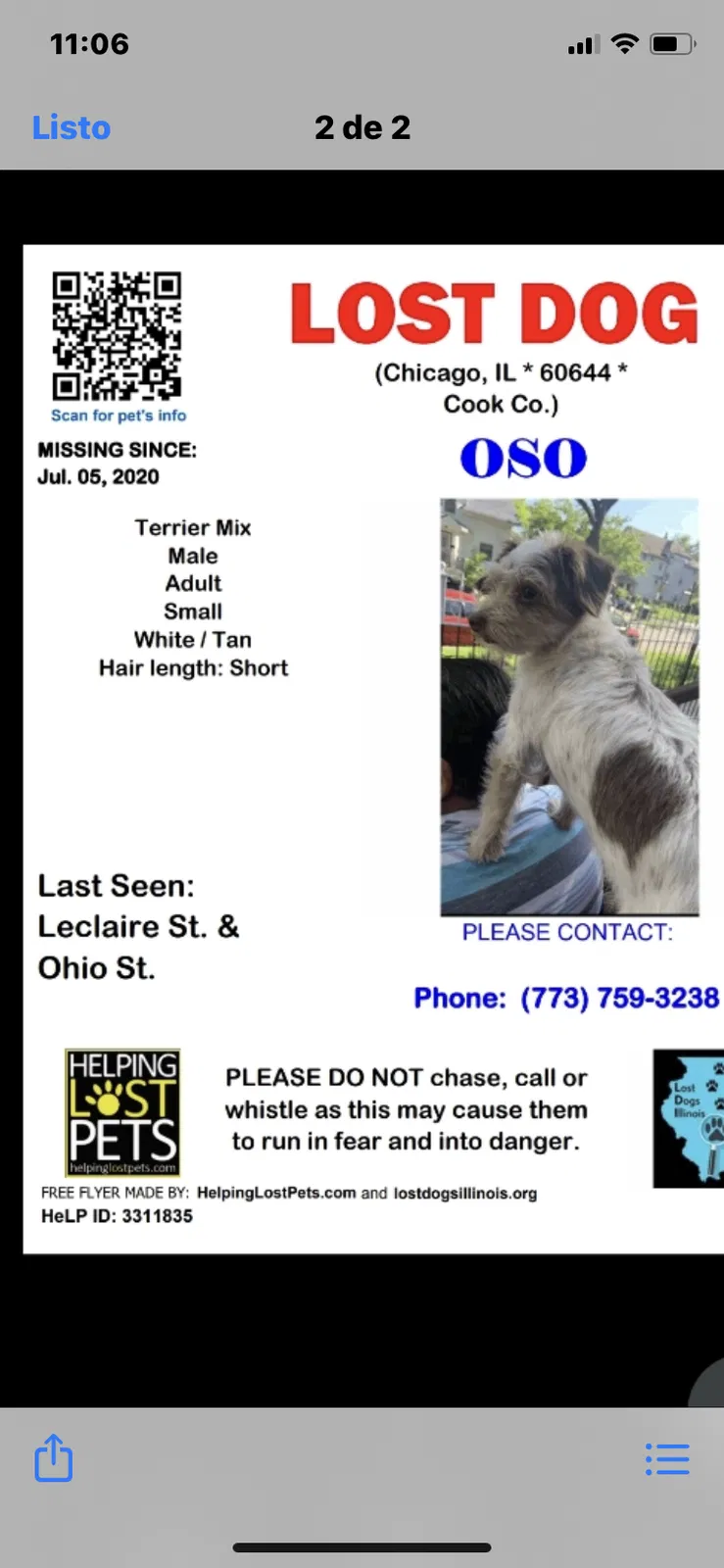 Lost dog in Chicago, IL, 60644
