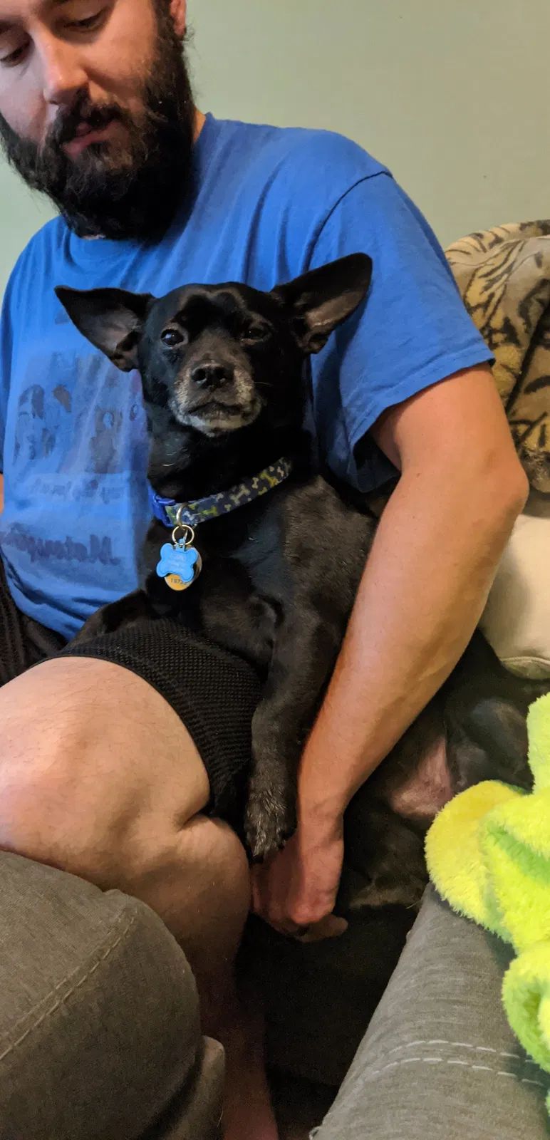Lost dog in Peru, IA, 50222