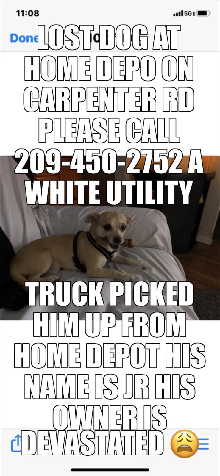 Lost dog in Modesto, CA, 95356