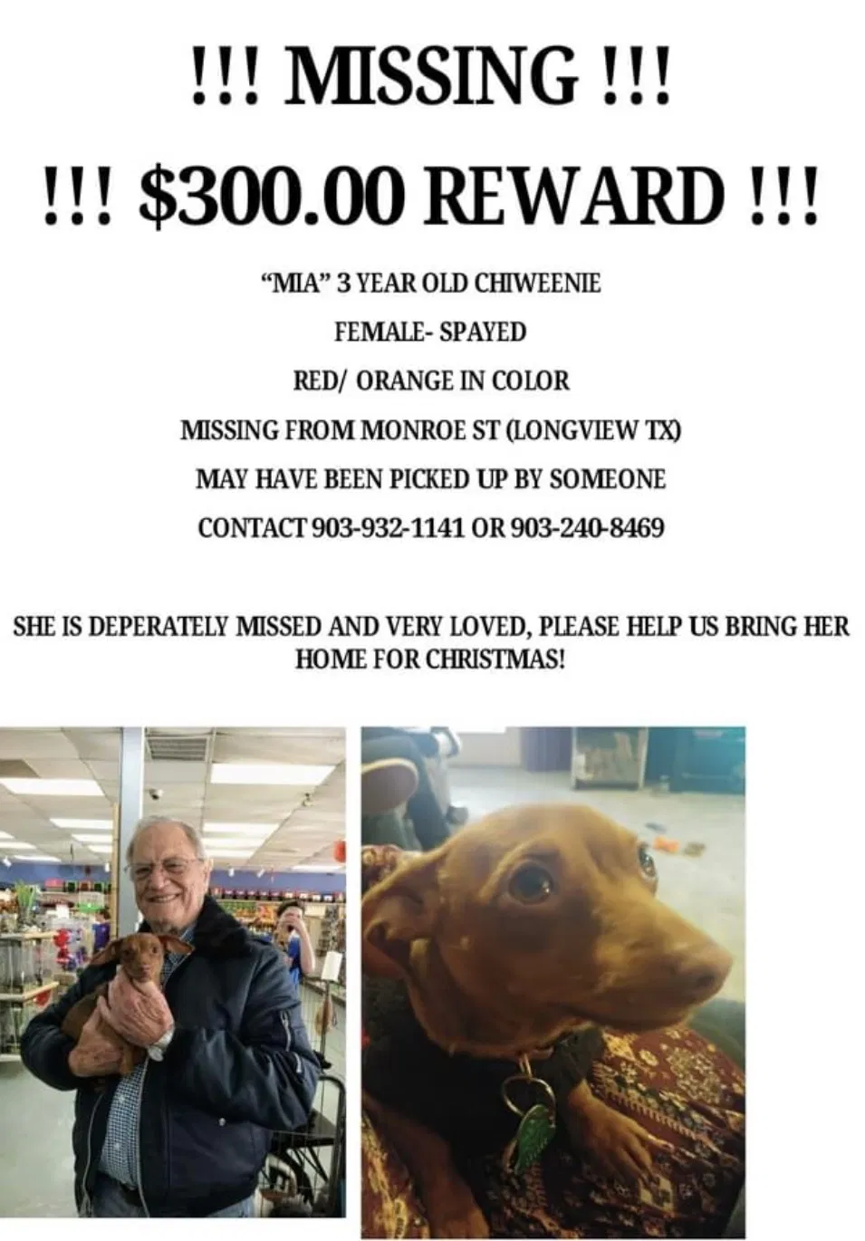 Lost dog in Longview, TX, 75602