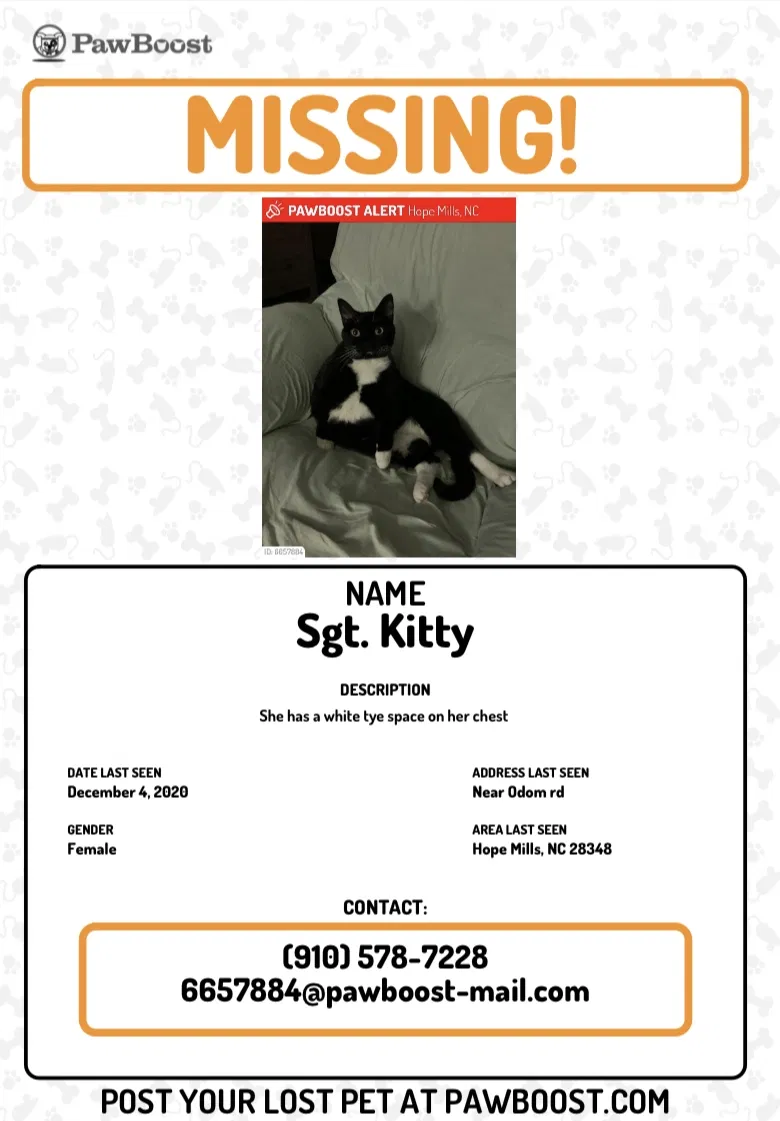 Lost cat in Hope Mills, NC, 28348