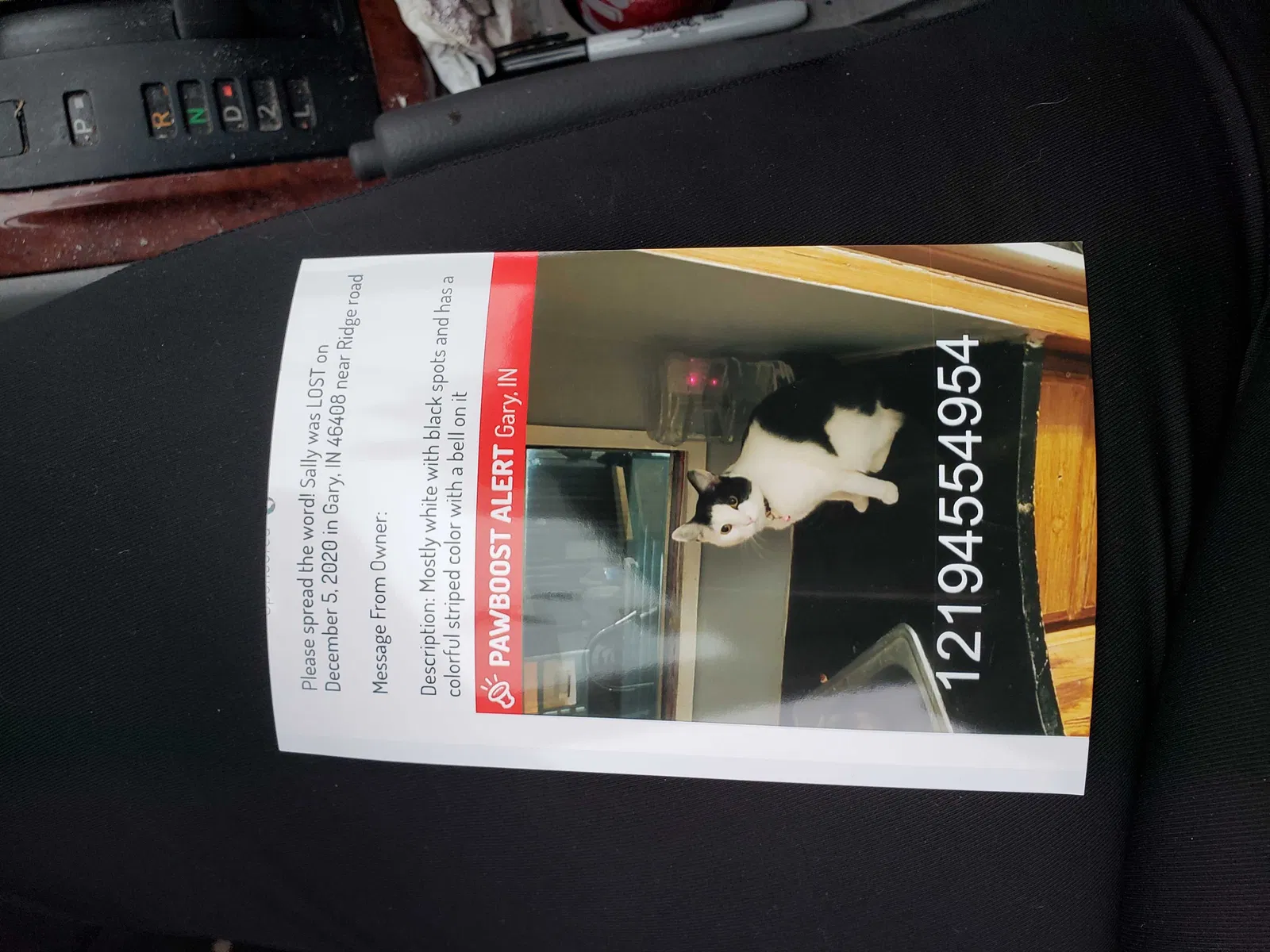 Lost cat in Gary, IN, 46408