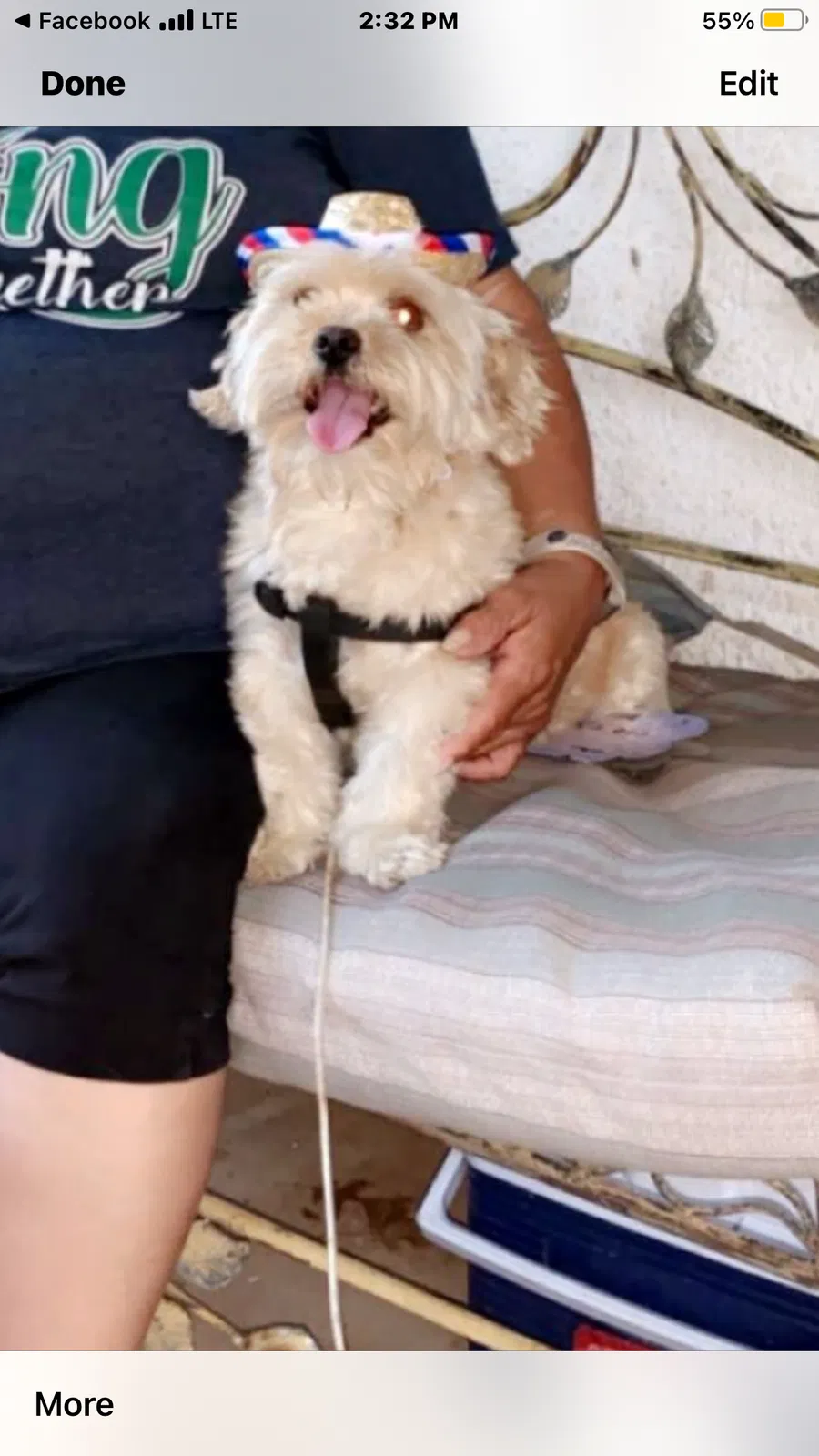 Lost dog in Abilene, TX, 79603