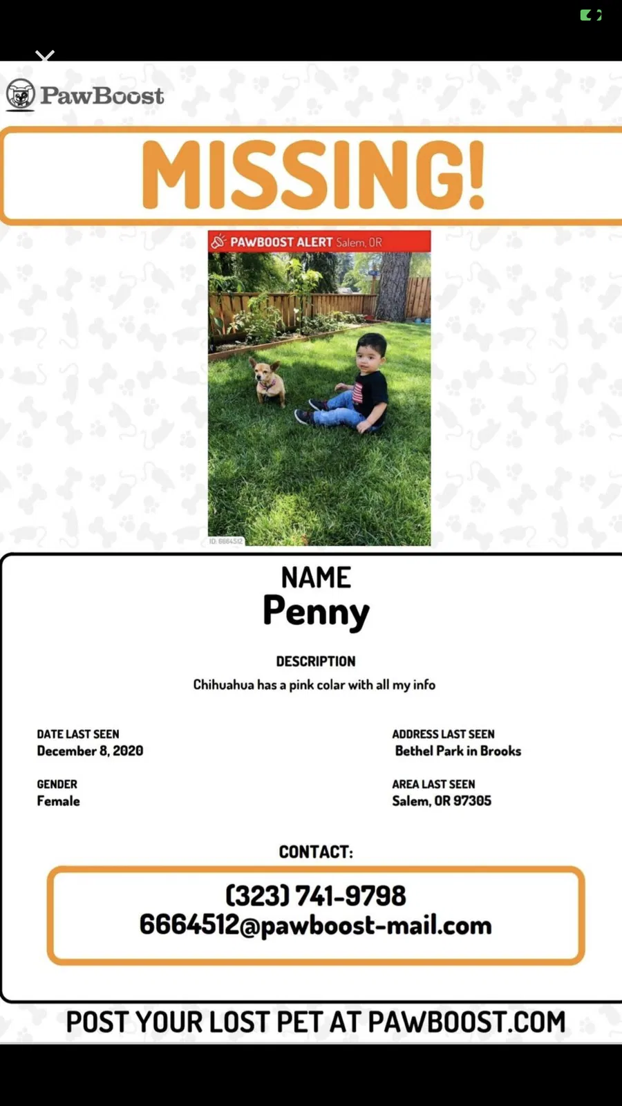 Lost dog in Salem, OR, 97305