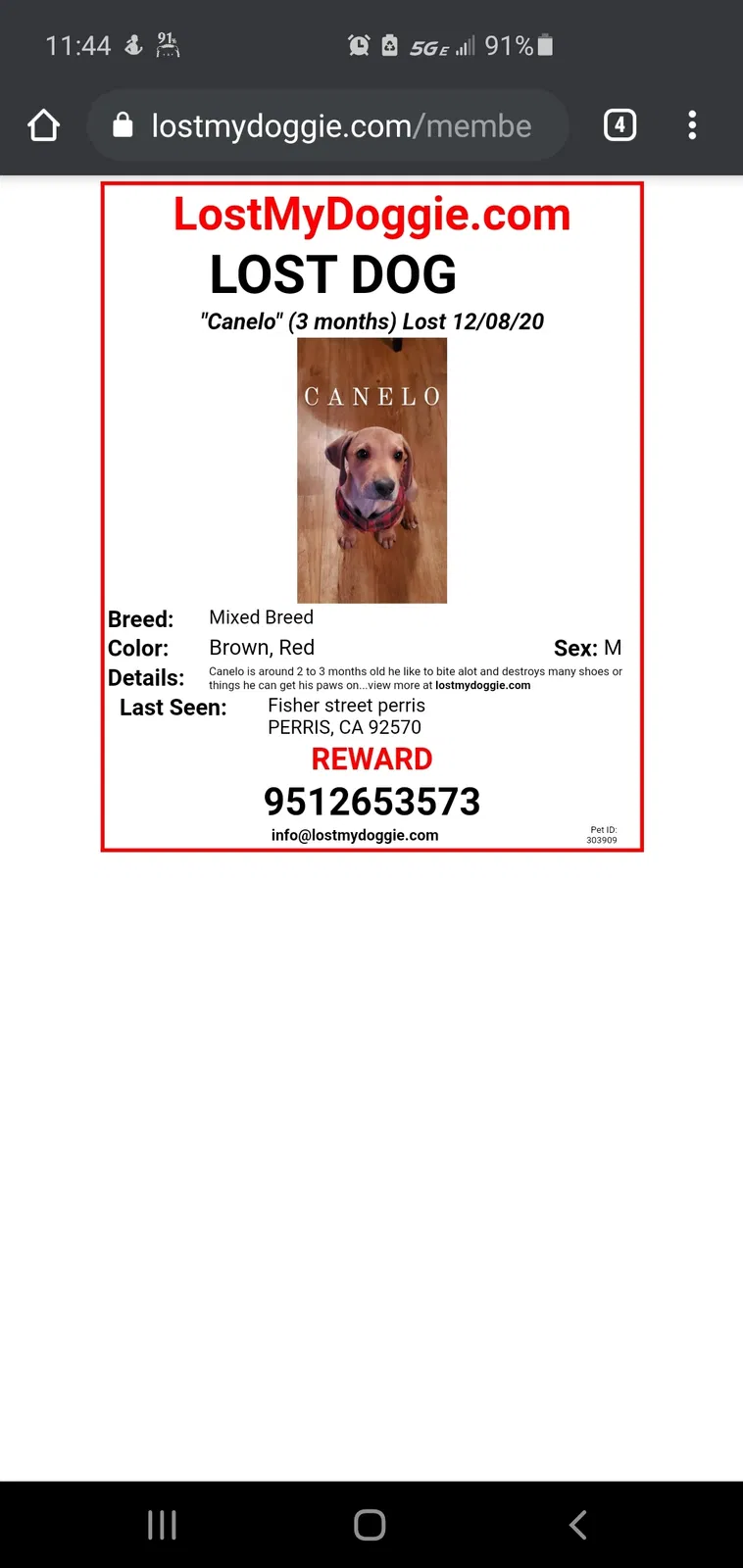 Lost dog in Perris, CA, 92570