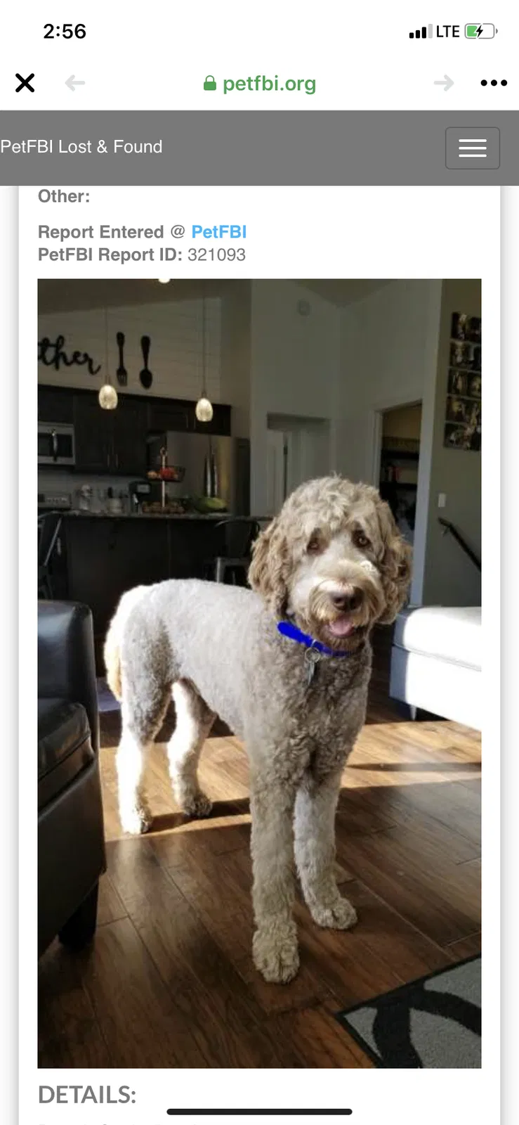 Lost dog in Belle Center, OH, 43310