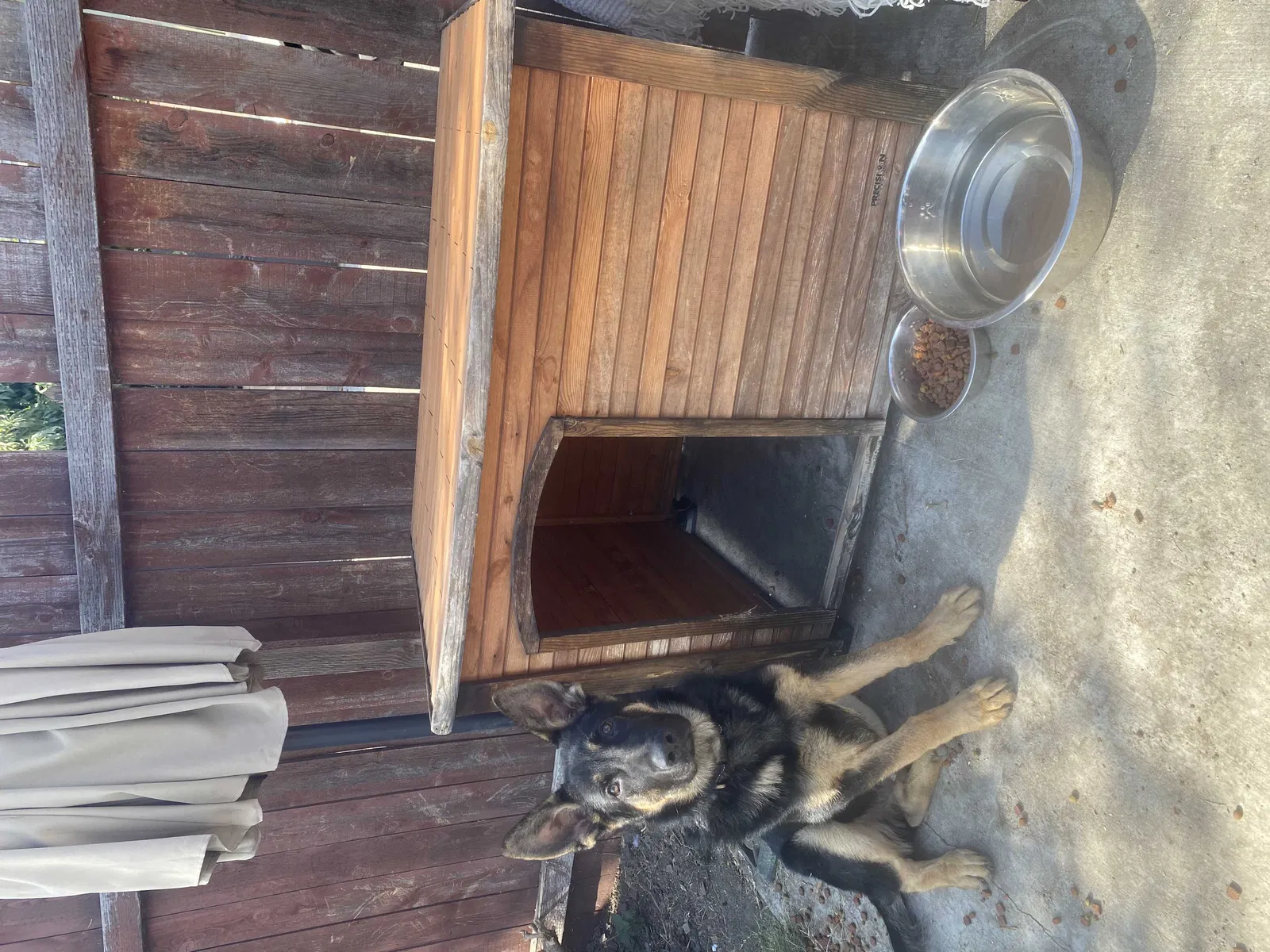 Lost dog in South El Monte, CA, 91733