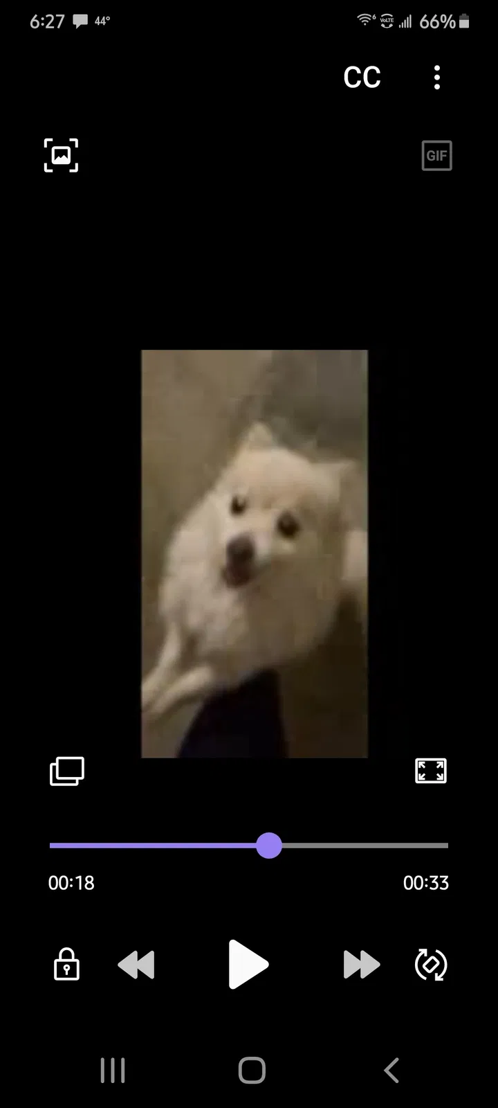 Found dog in Oklahoma City, OK, 73162