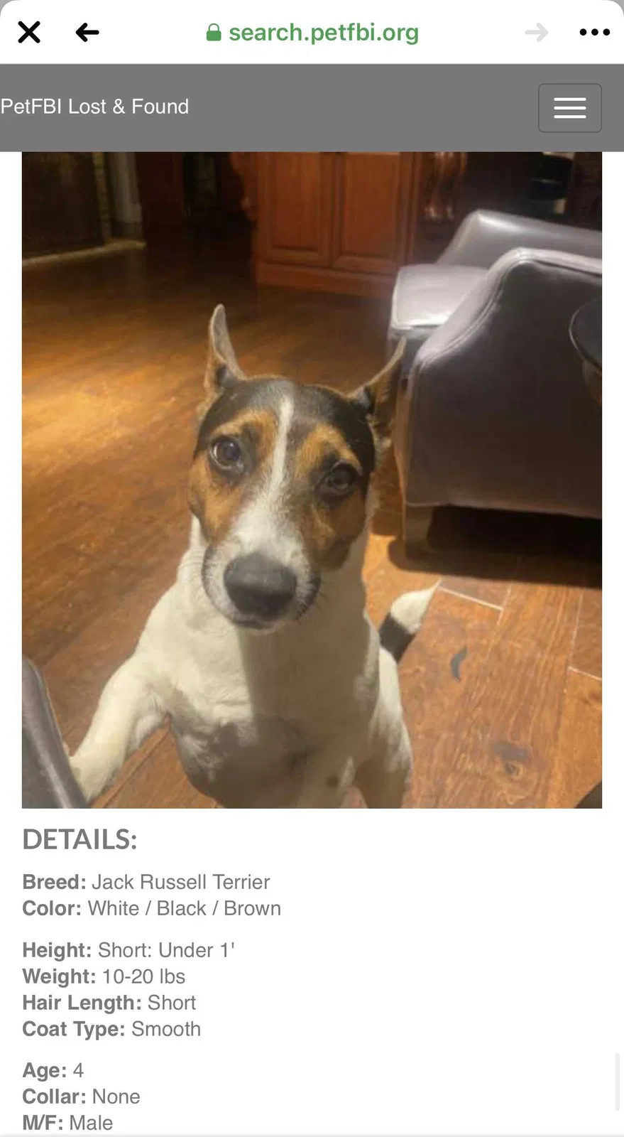 Lost dog in Ball Ground, GA, 30107