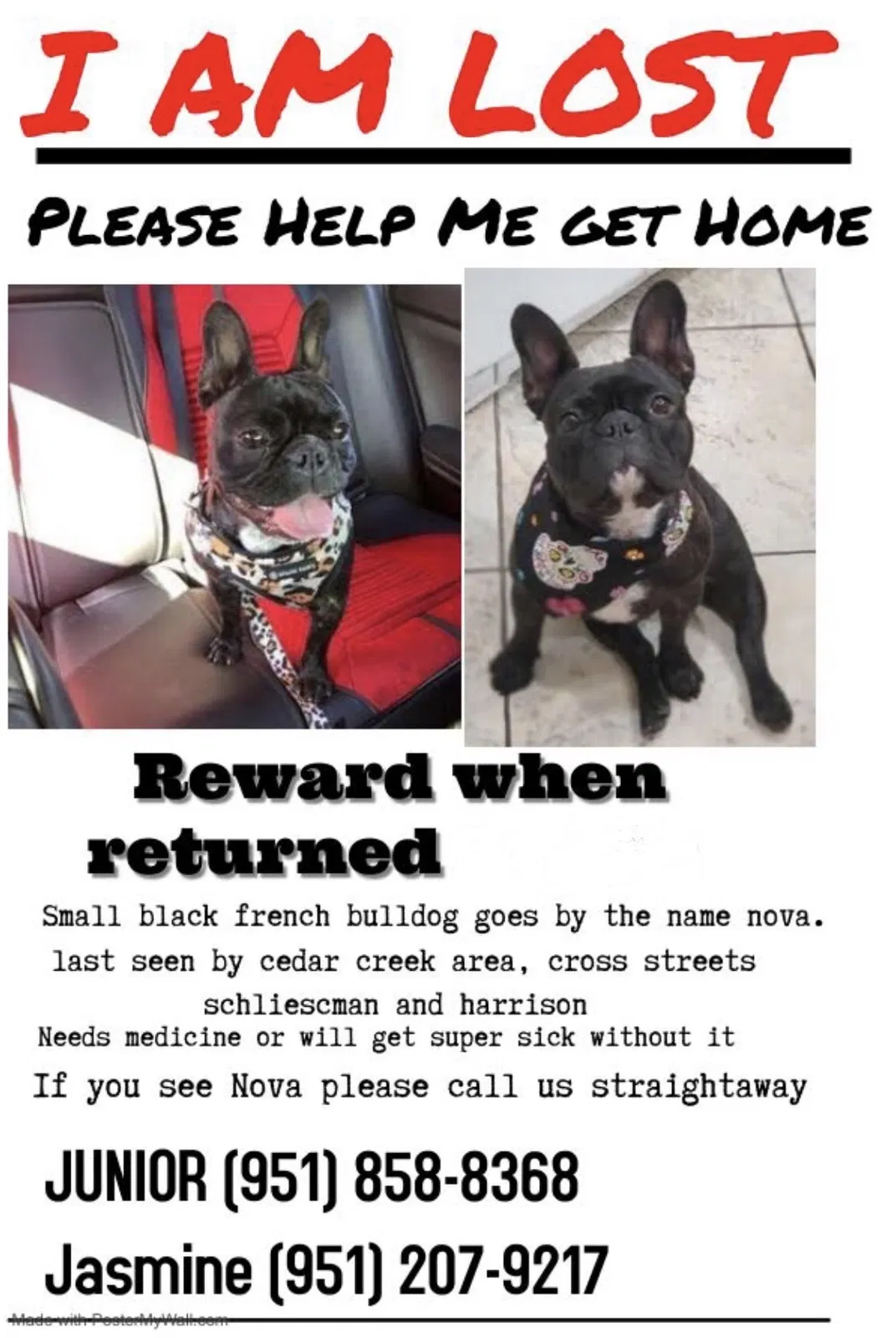 Lost dog in Corona, CA, 92880