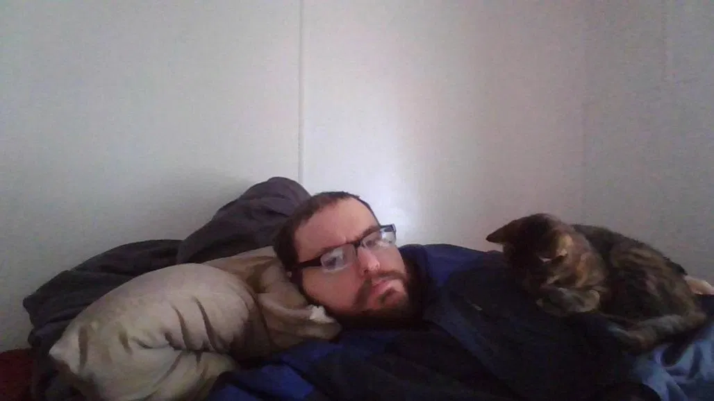 Lost cat in Roanoke, IN, 46783