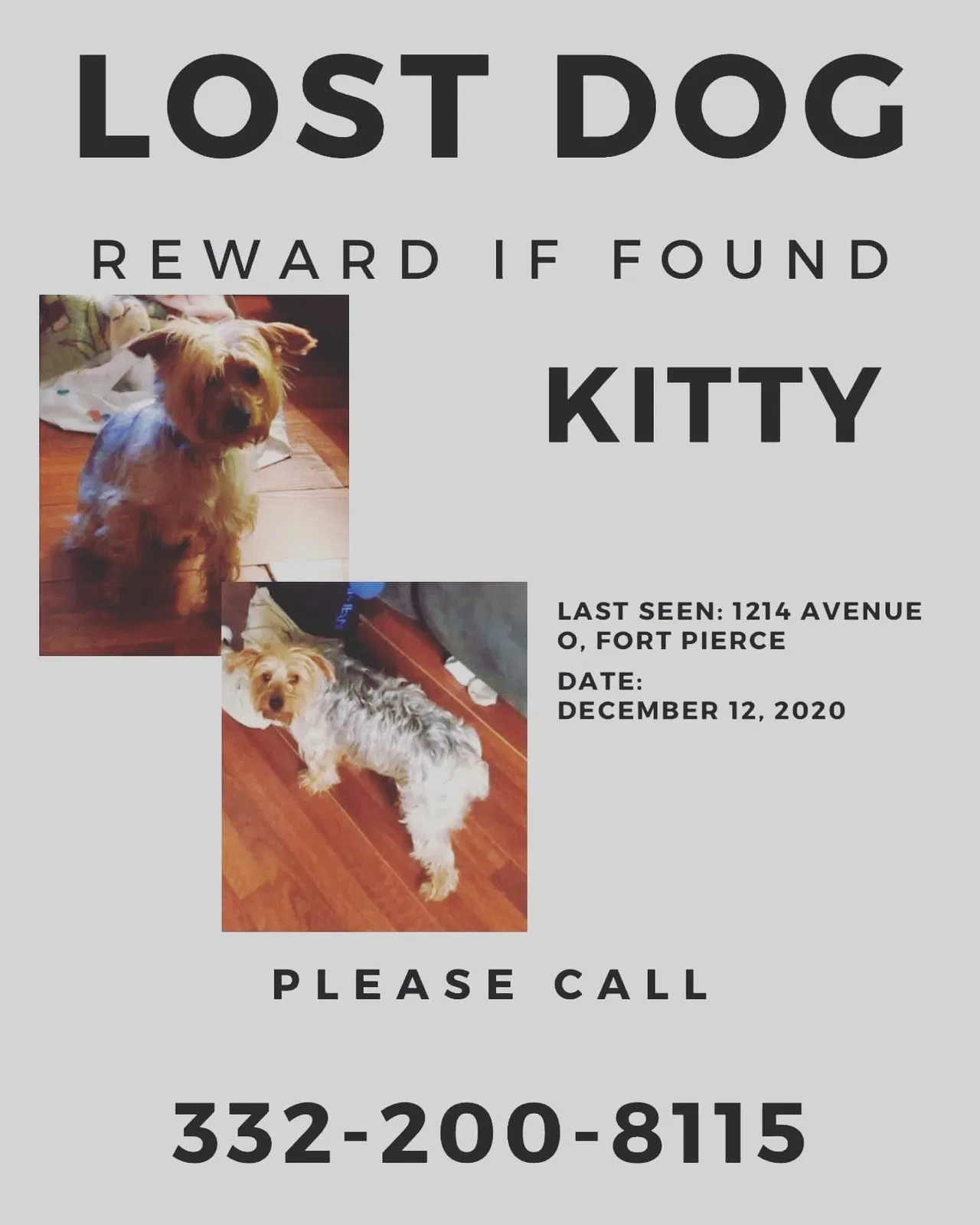 Lost dog in Fort Pierce, FL, 34950