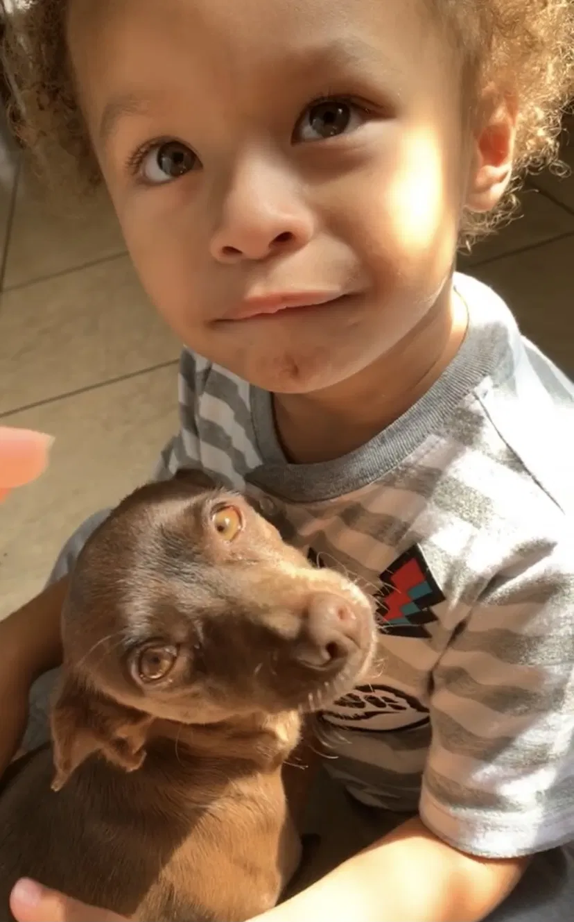 Lost dog in Sacramento, CA, 95842