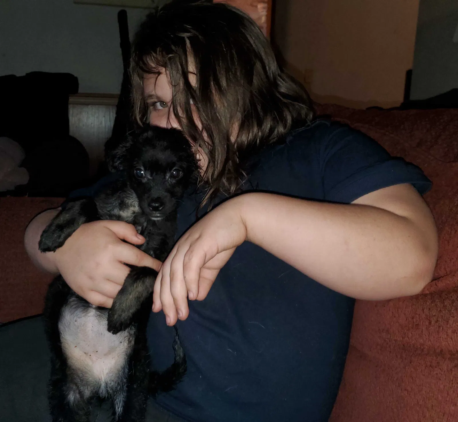 Lost dog in Thonotosassa, FL, 33592