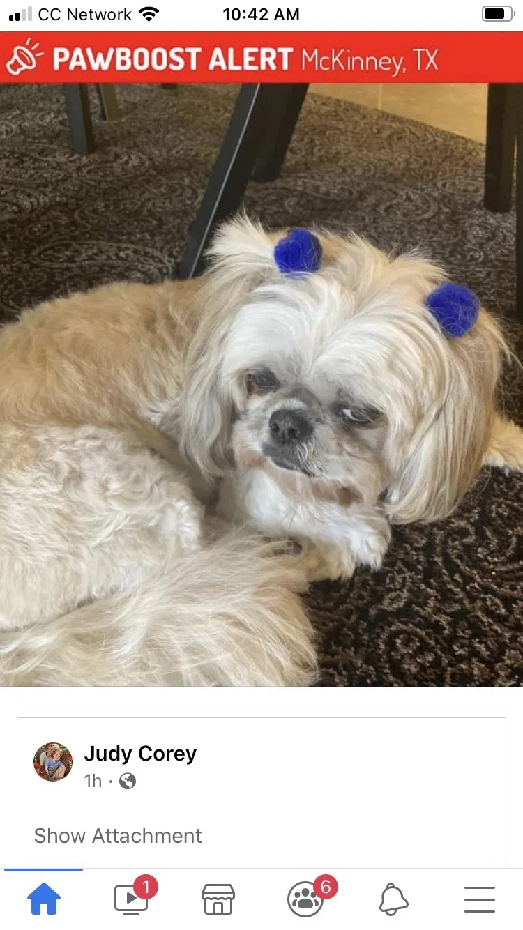 Lost dog in Mckinney, TX, 75070