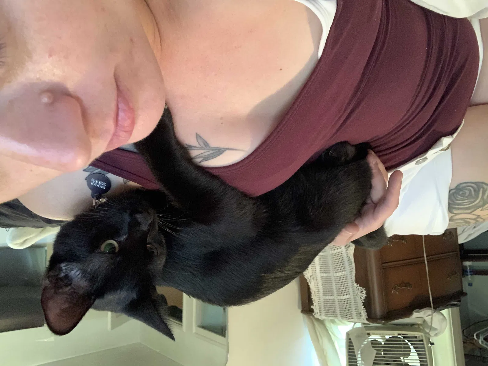 Lost cat in Vallejo, CA, 94589