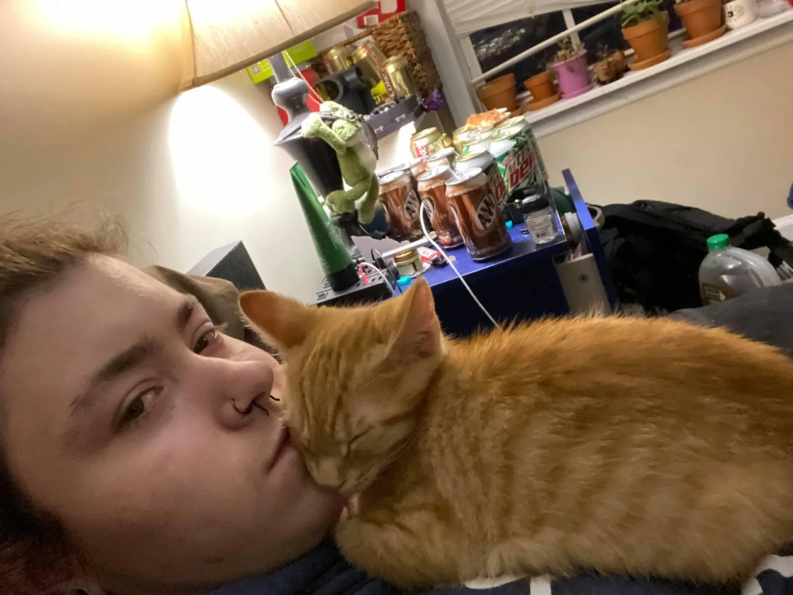 Lost cat in Fuquay Varina, NC, 27526