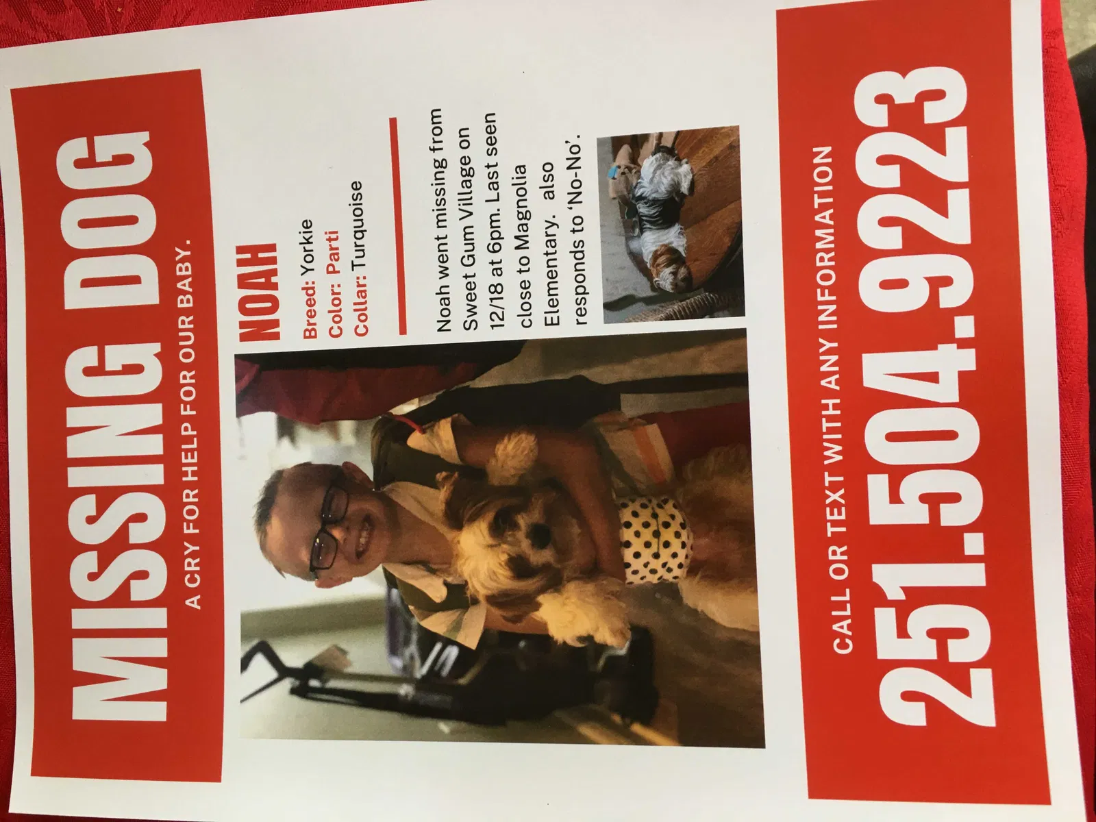 Lost dog in Foley, AL, 36535