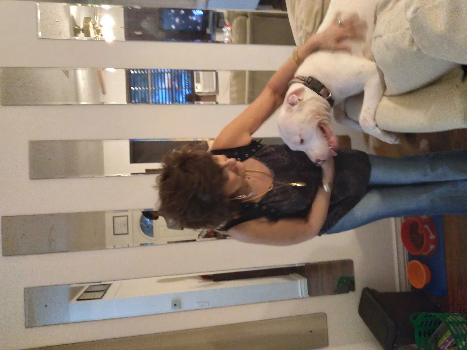 Lost dog in North Port, FL, 34287