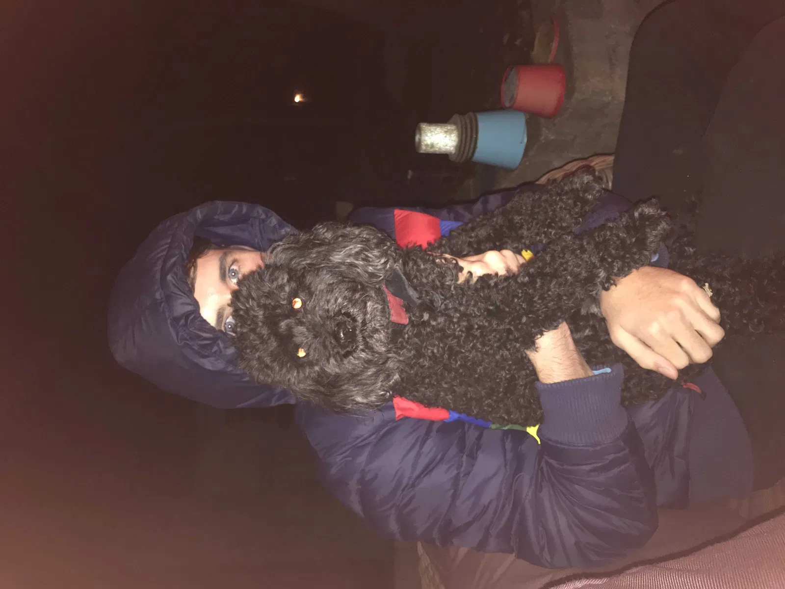 Lost dog in Hartford, WI, 53027