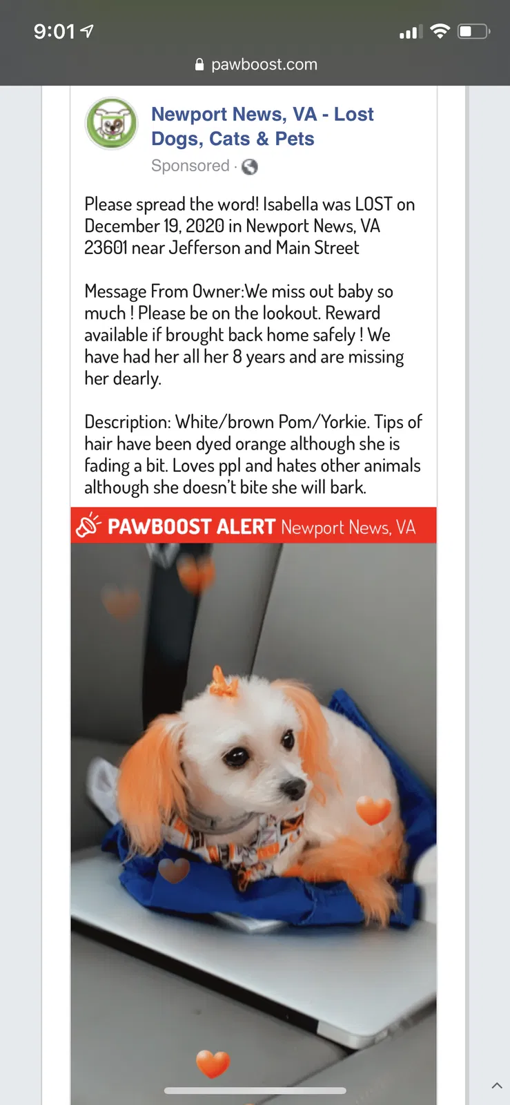 Lost dog in Newport News, VA, 23601