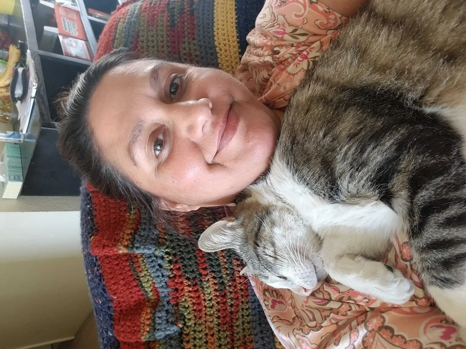 Lost cat in Los Banos, CA, 93635