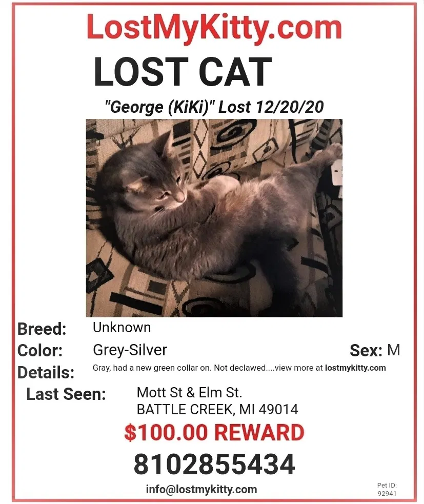 Lost cat in Battle Creek, MI, 49014
