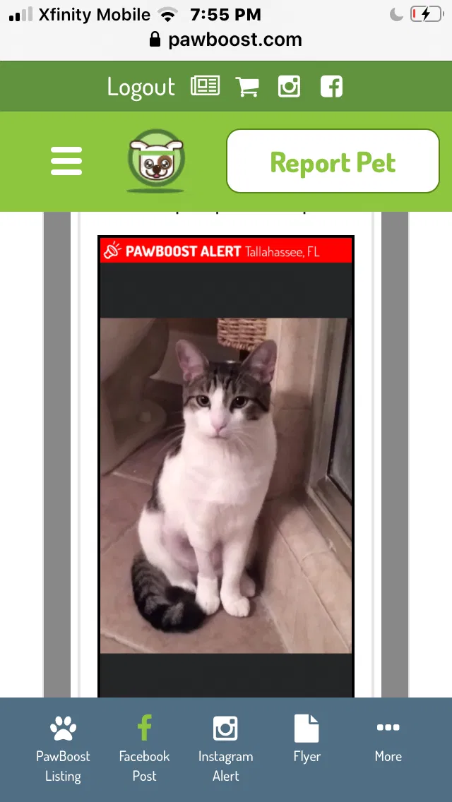 Lost cat in Tallahassee, FL, 32308