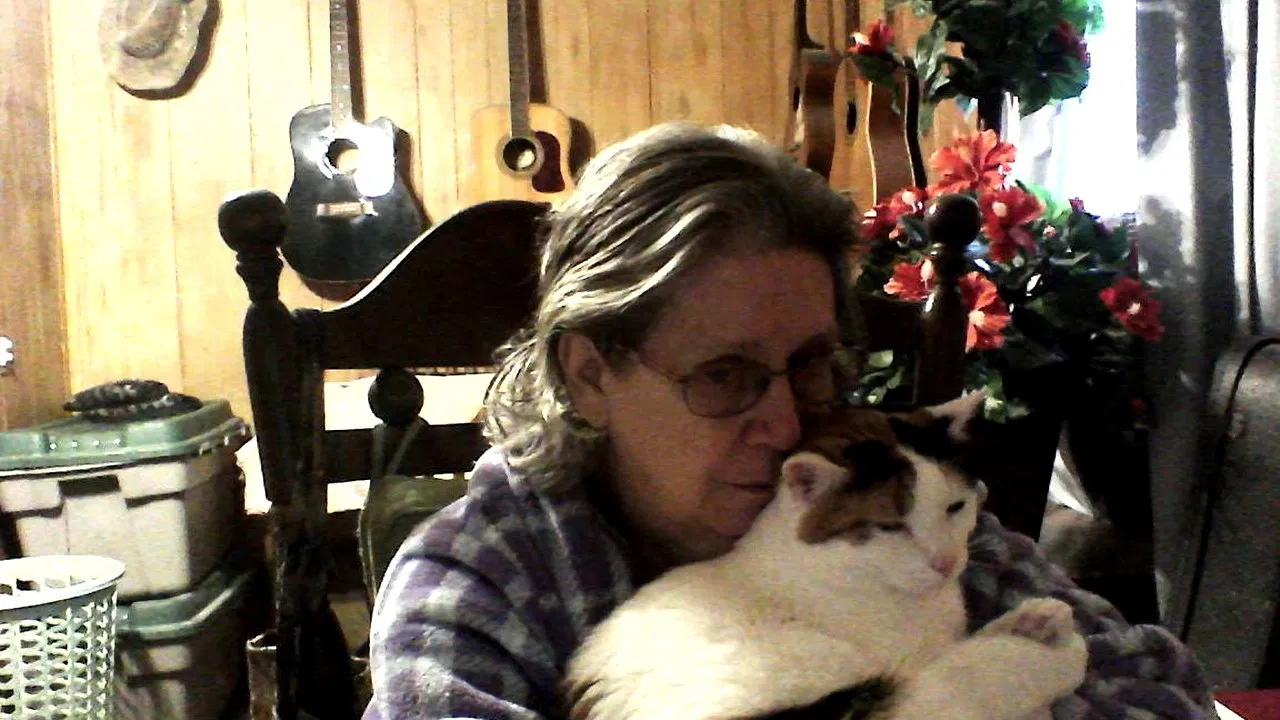 Lost cat in Vincentown, NJ, 8088