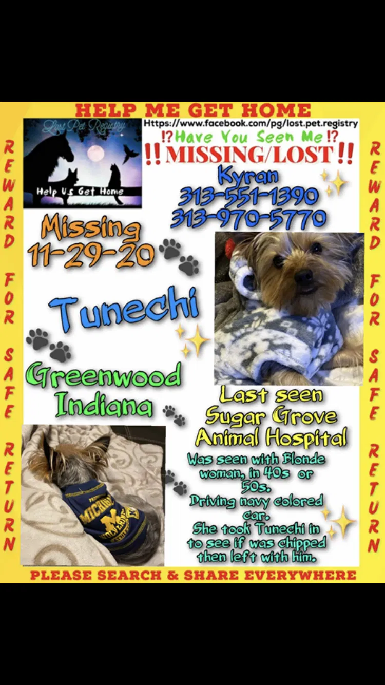 Lost dog in Unknown, IN, 46412
