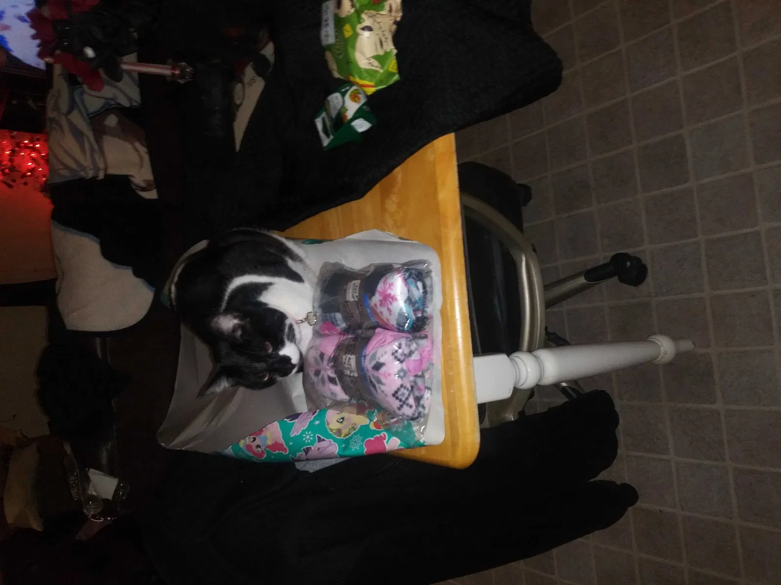 Lost cat in Fountain, CO, 80817