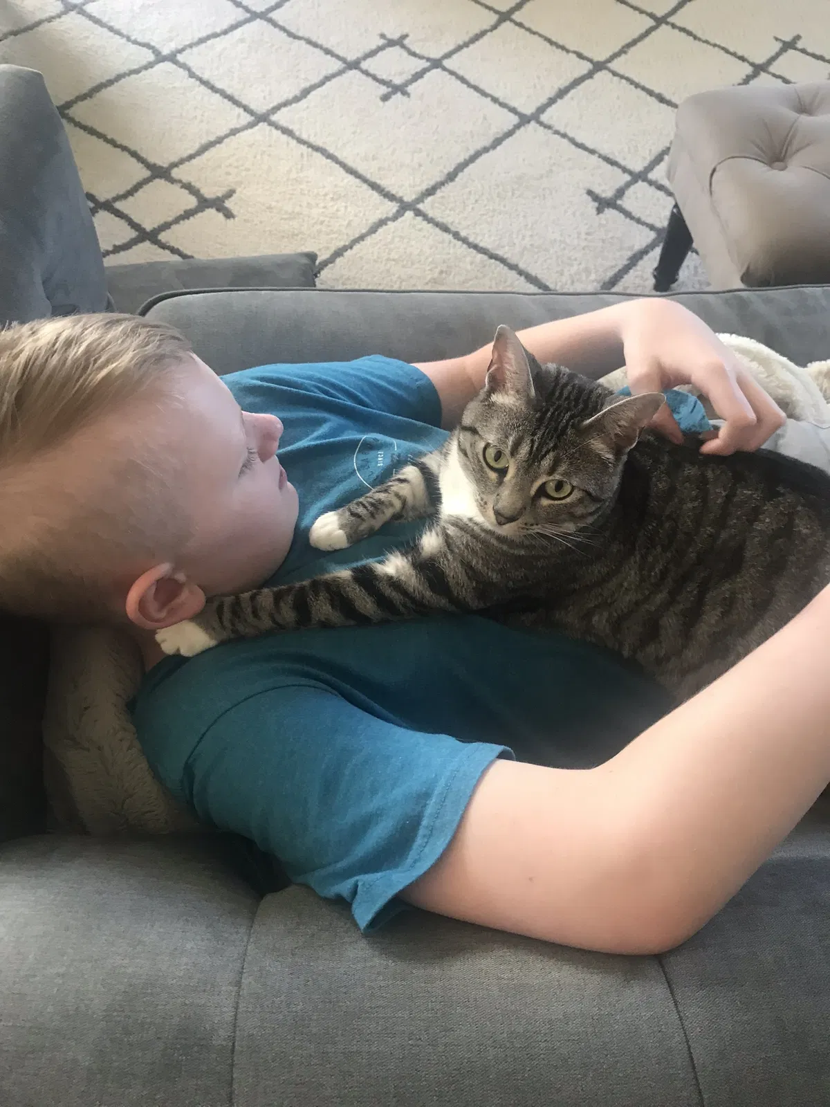 Lost cat in San Diego, CA, 92129