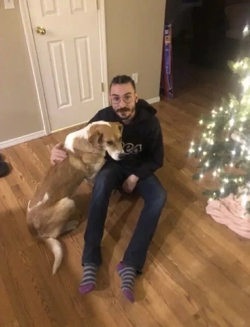 Lost dog in Fort Collins, CO, 80526
