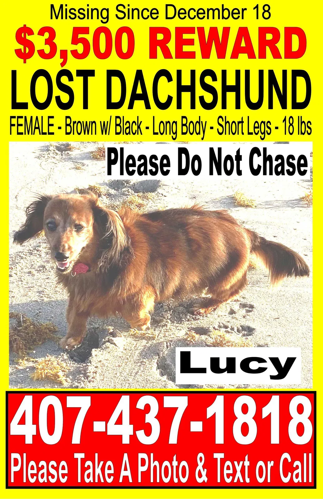 Lost dog in Boca Raton, FL, 33487
