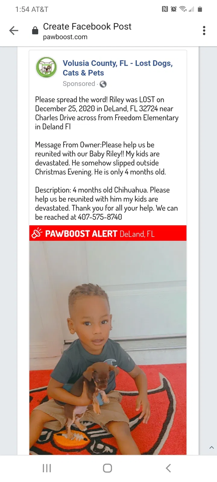 Lost dog in Deland, FL, 32724