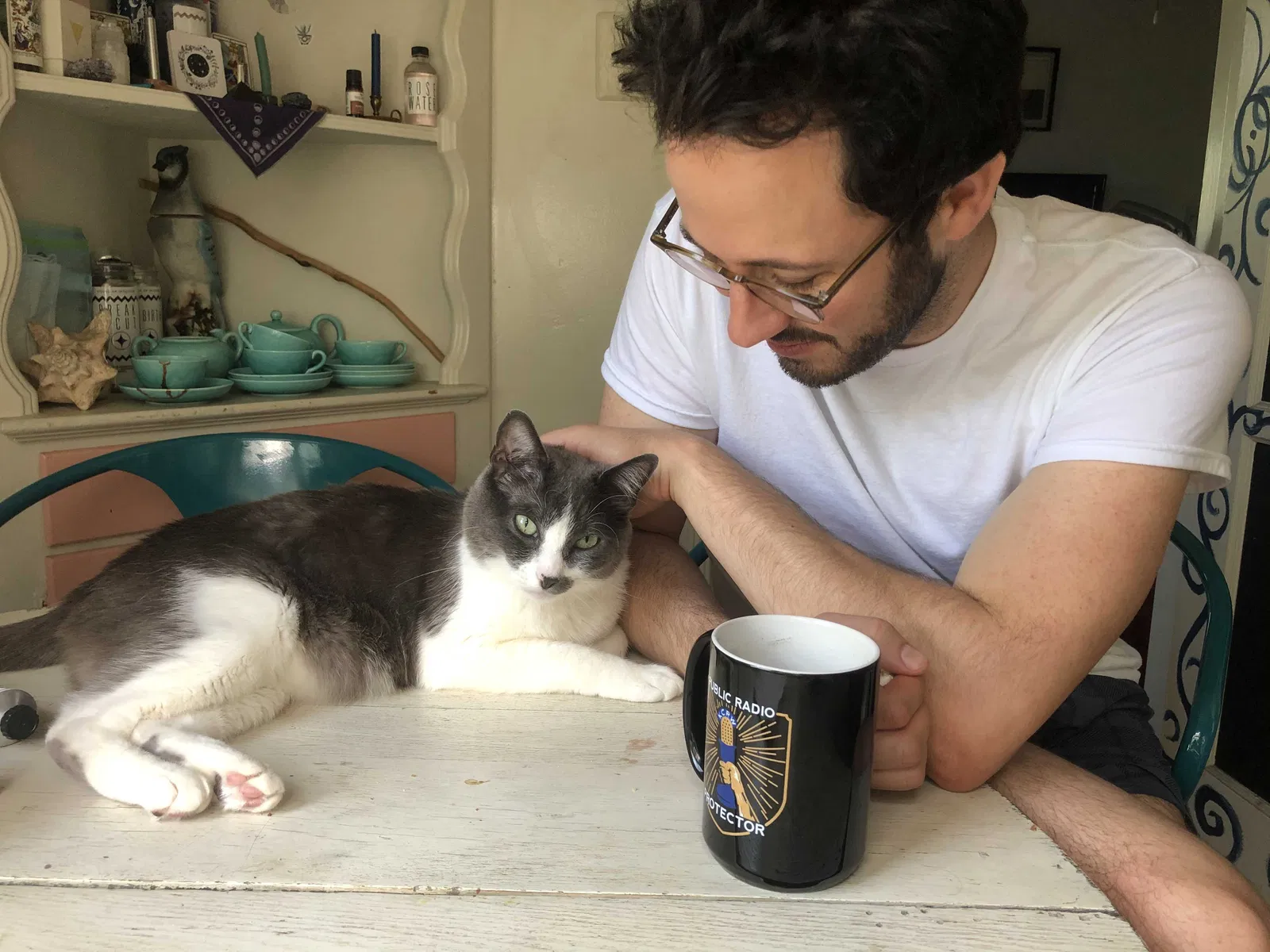 Lost cat in Los Angeles, CA, 90027