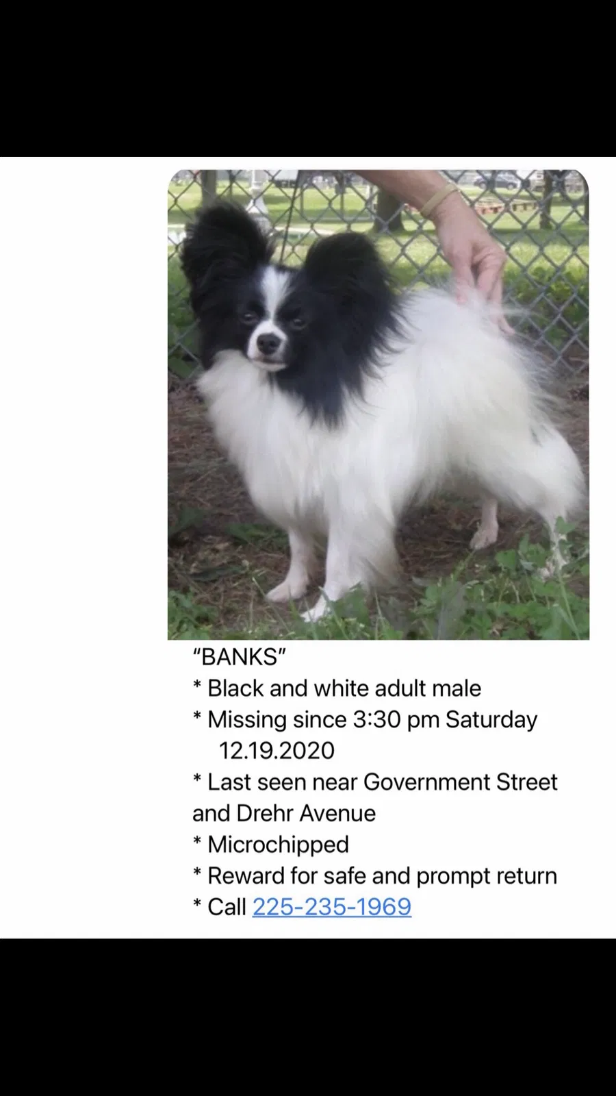 Lost dog in Baton Rouge, LA, 70802