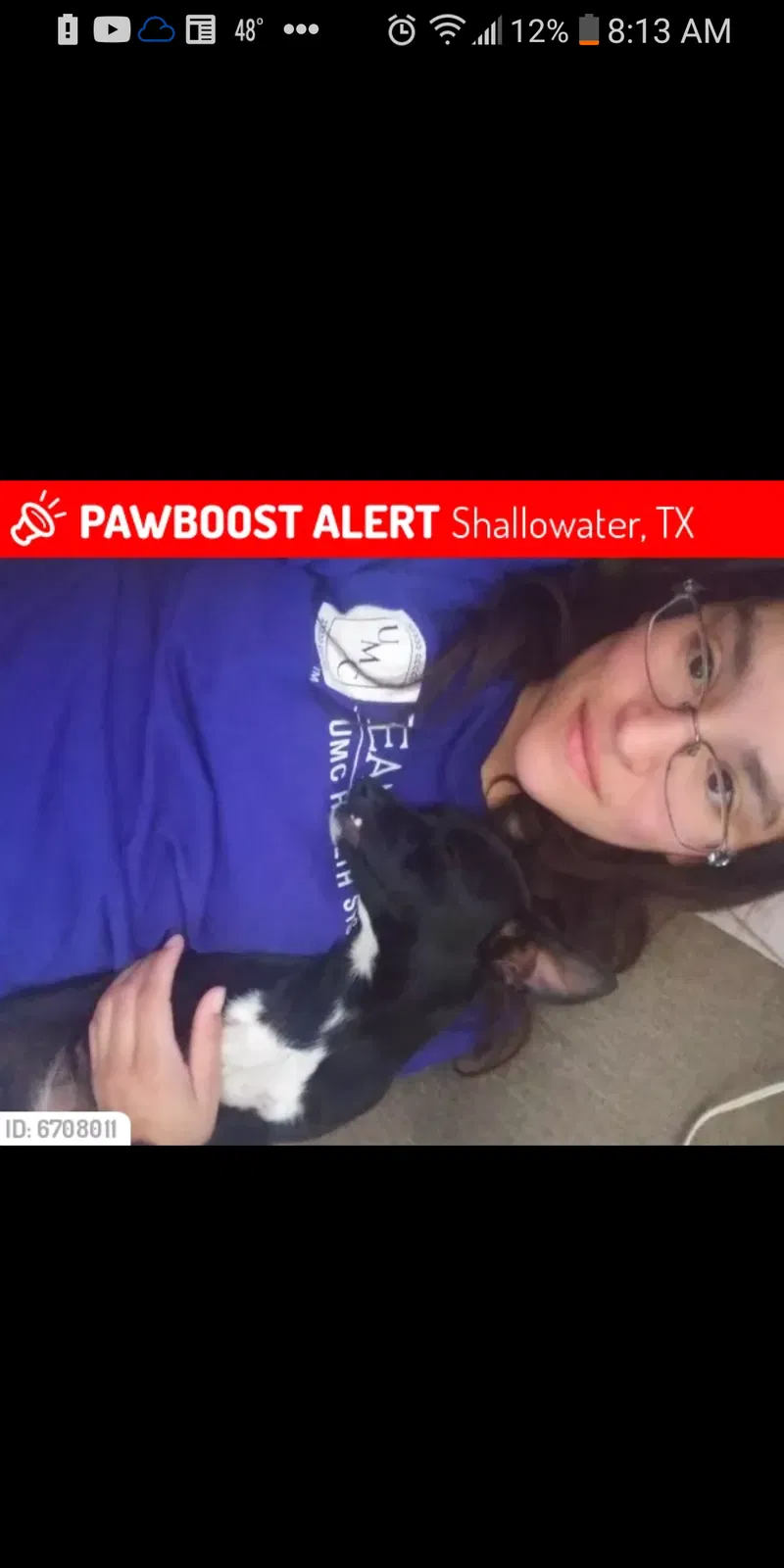 Lost dog in Shallowater, TX, 79363