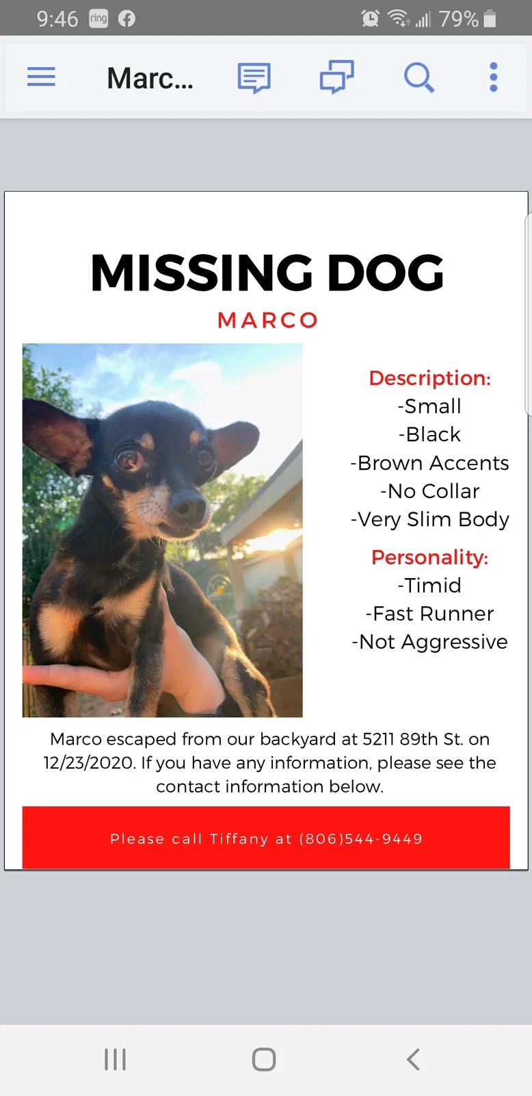 Lost dog in Lubbock, TX, 79424