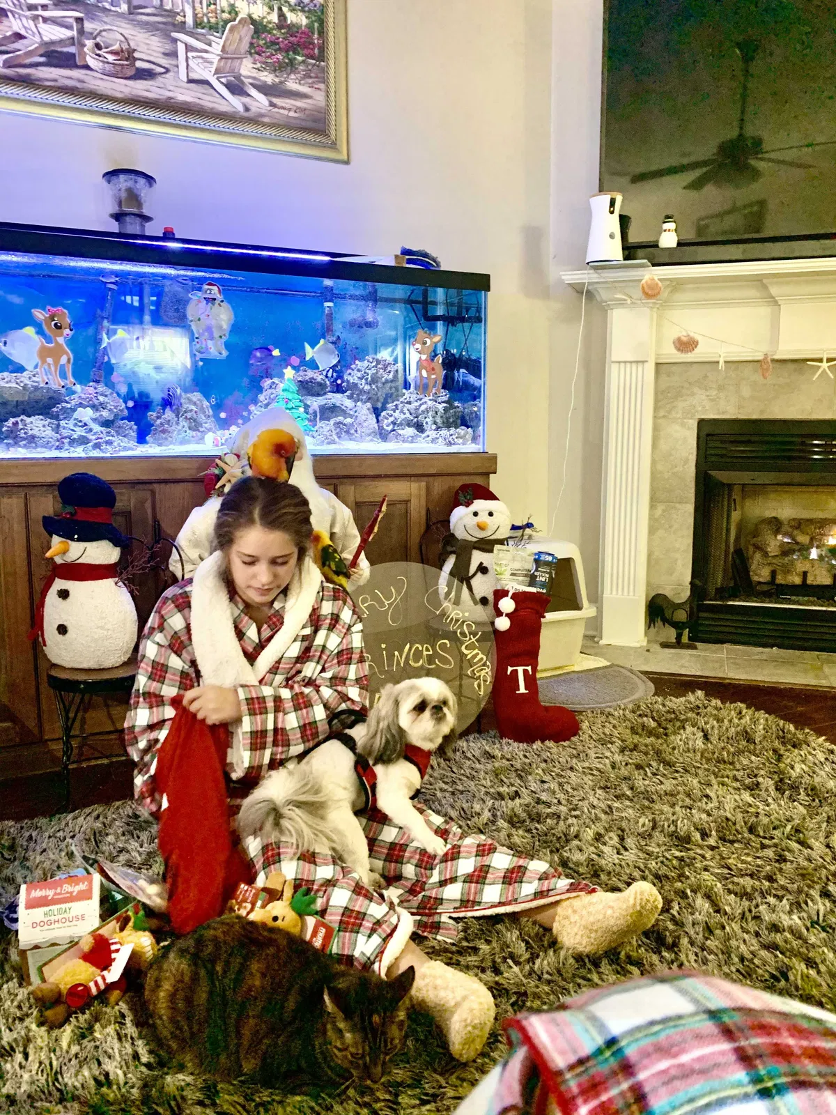 Lost dog in Mobile, AL, 36695